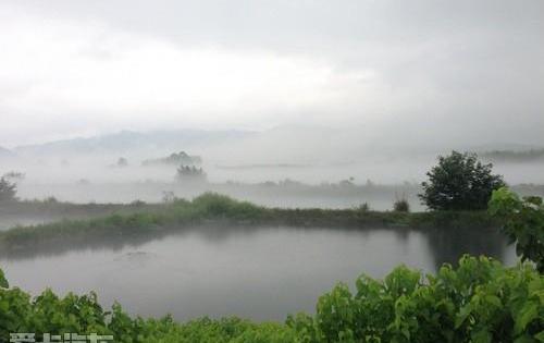 汉兰达,汉,丰田,优越