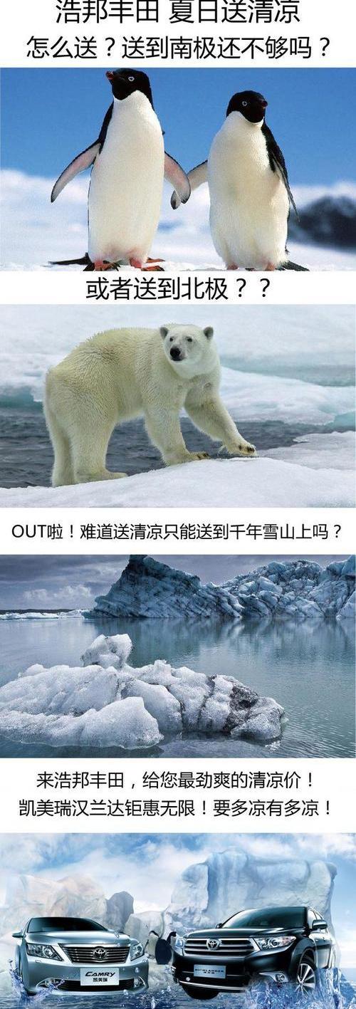 丰田,汉兰达,凯美瑞,汉,奥迪