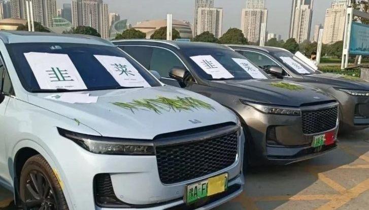 汉兰达,汉,发现,丰田,理想ONE