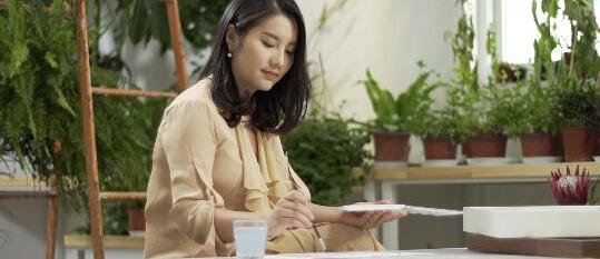 卡罗拉,理念