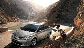 卡罗拉,世纪,丰田,一汽
