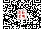 卡罗拉,丰田,理念