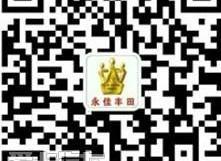 丰田,一汽,卡罗拉,炮