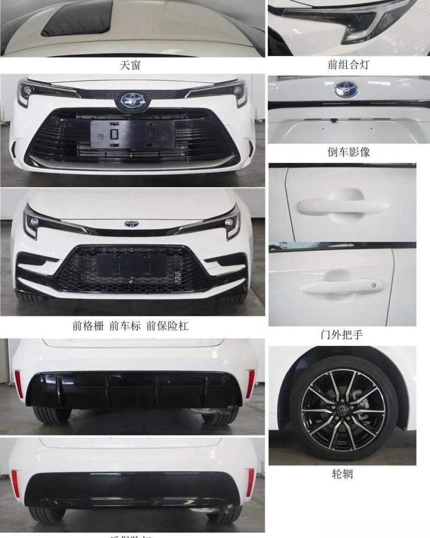 丰田,雷凌,卡罗拉
