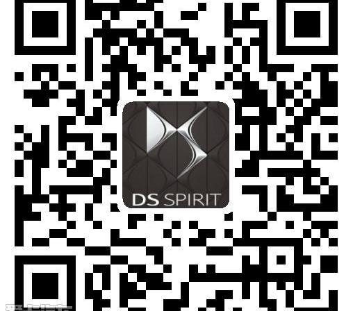 DS,现代