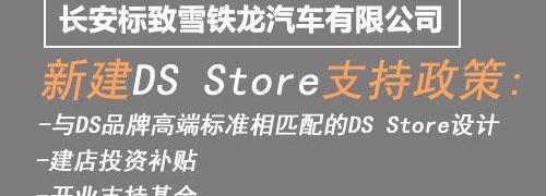 DS,标致,长安,雪铁龙