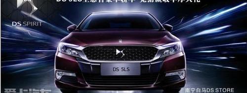 DS,好运