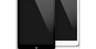 DS,MINI