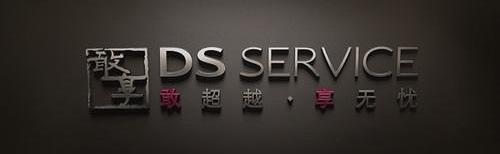 DS,标致,长安,雪铁龙,理念
