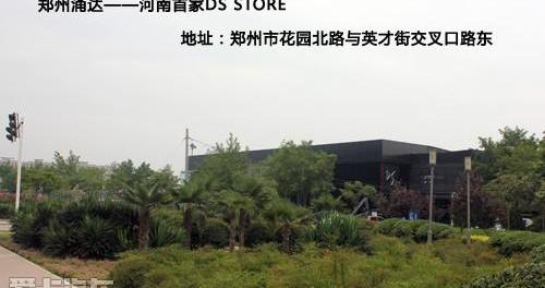 DS,标致,雪铁龙