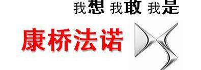 DS,好运,理念