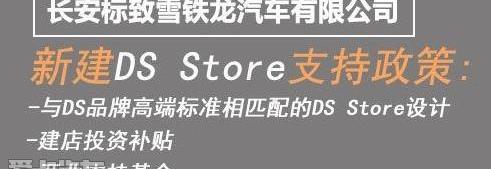 DS,标致,长安,雪铁龙