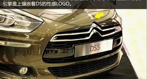 DS,摩卡