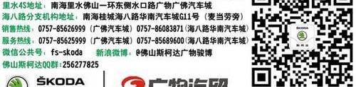 长安,凯迪拉克,斯柯达,现代,奥迪