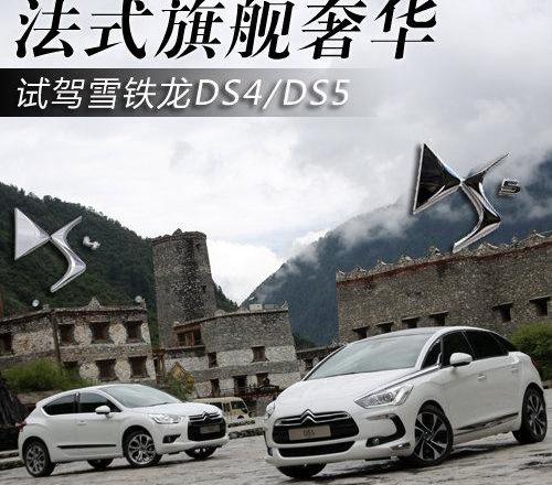 DS,雪铁龙,标致,理念