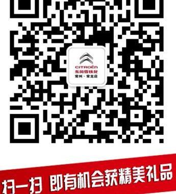 雪铁龙,东风,理念,宝马,大众