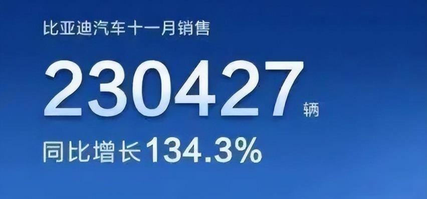 蔚来,极氪,哪吒汽车,小鹏,比亚迪