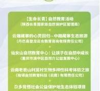 福特,北京,长安,撼路者,探险者