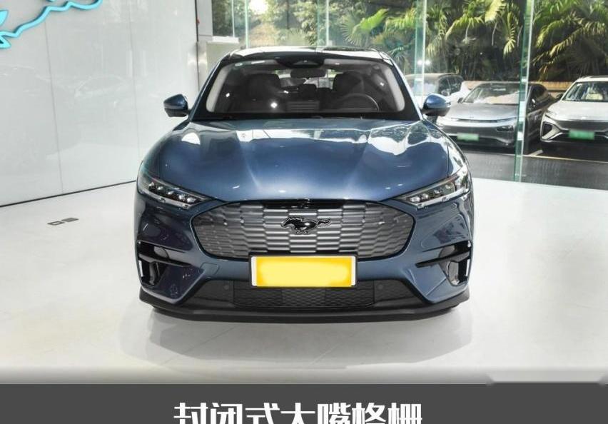 福特,福特电马,Mustang,特斯拉,Model 3