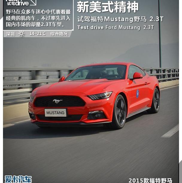 福特,Mustang,DS,炮