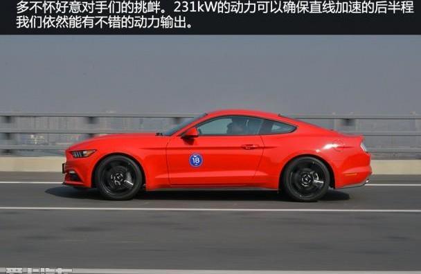 福特,Mustang,DS,炮
