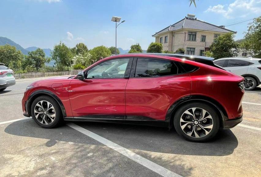 福特,Mustang,福特电马,特斯拉,Model Y