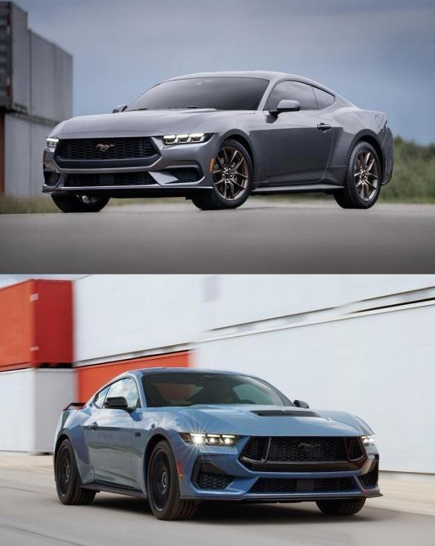 Mustang,福特,曼