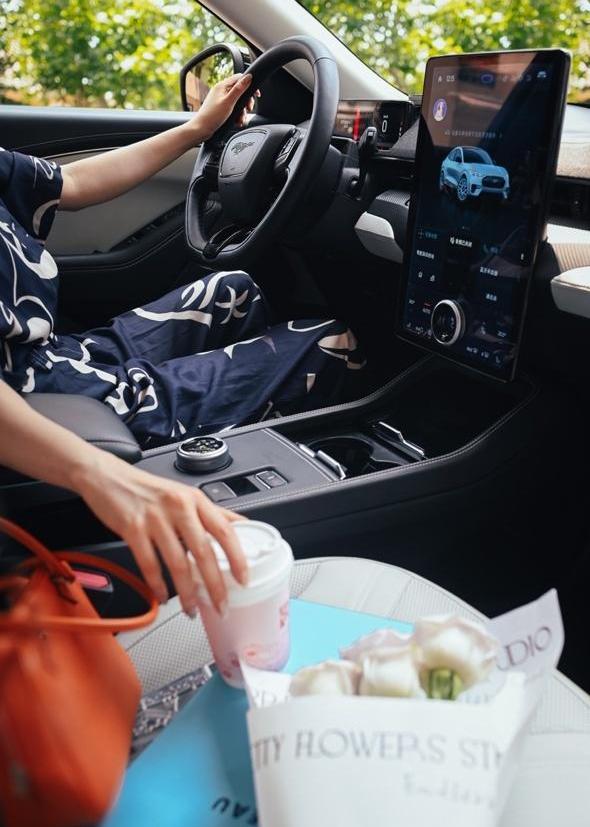 福特,福特电马,Mustang,理念,蔚来
