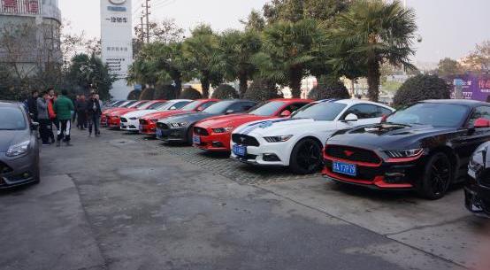 Mustang,福特,福克斯