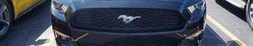 福特,Mustang