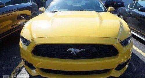 福特,Mustang