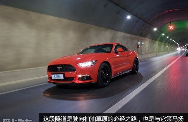 Mustang,福特