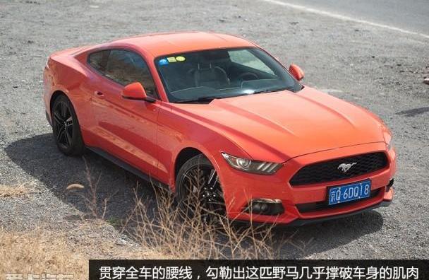 Mustang,福特