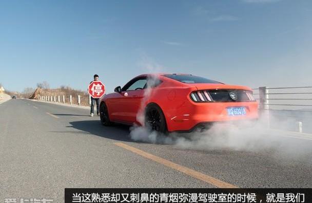 Mustang,福特