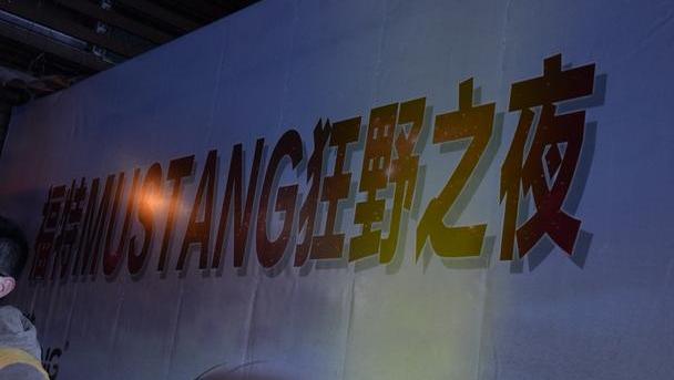 福特,Mustang,发现,现代