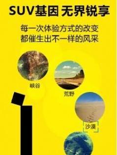 福特,长安,锐界,冒险家