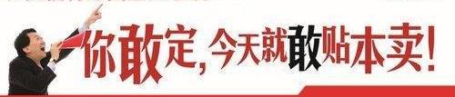 福克斯,锐界,福睿斯,长安,福特