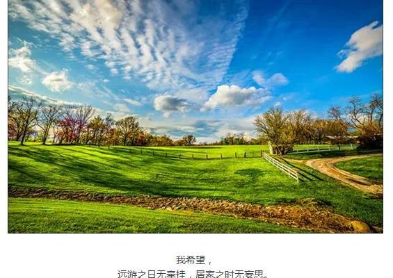 福特,锐界,福睿斯,福克斯,蒙迪欧