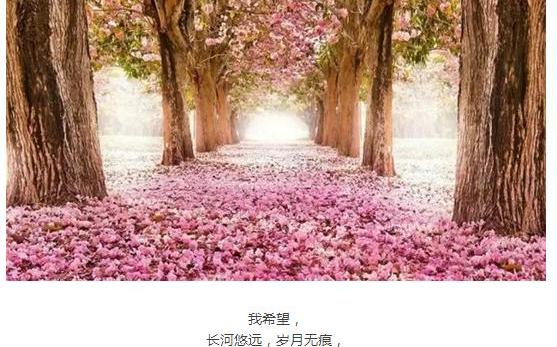 福特,锐界,福睿斯,福克斯,蒙迪欧