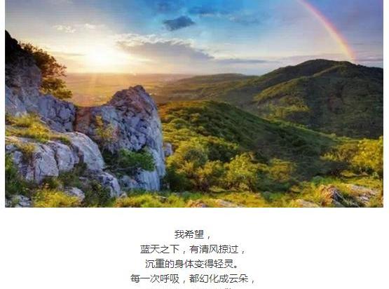 福特,锐界,福睿斯,福克斯,蒙迪欧