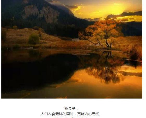 福特,锐界,福睿斯,福克斯,蒙迪欧