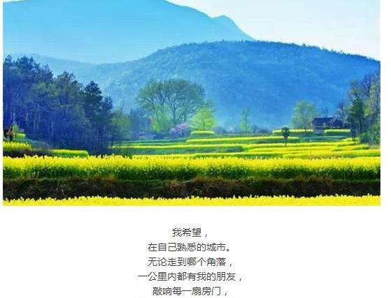 福特,锐界,福睿斯,福克斯,蒙迪欧