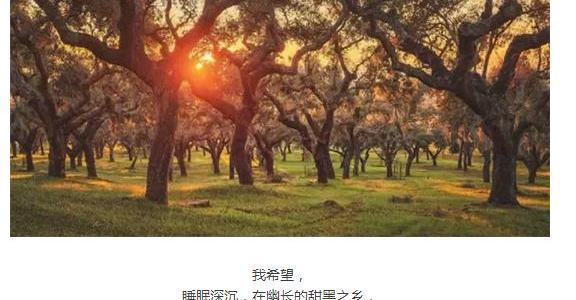 福特,锐界,福睿斯,福克斯,蒙迪欧