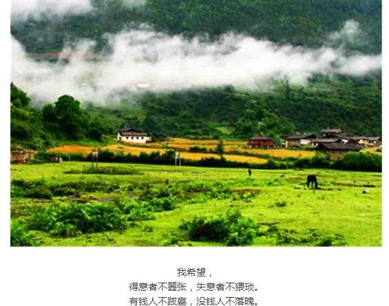 福特,锐界,福睿斯,福克斯,蒙迪欧