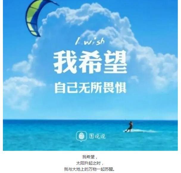 福特,锐界,福睿斯,福克斯,蒙迪欧