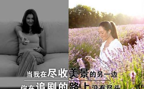 北京,福特,长安,福克斯,锐界