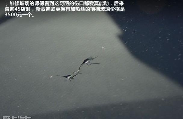 蒙迪欧