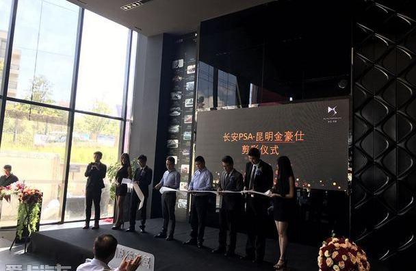 DS,长安,标致,现代,雪铁龙