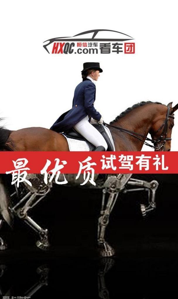 大众,凌渡