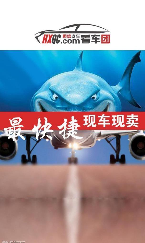 大众,凌渡